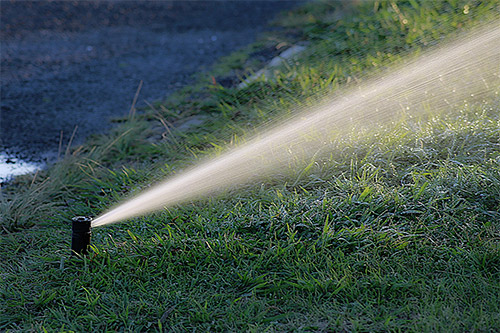 Understanding the Current Level 2 Drought Watering Restrictions
